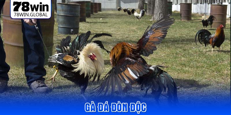 ga-da-don-doc